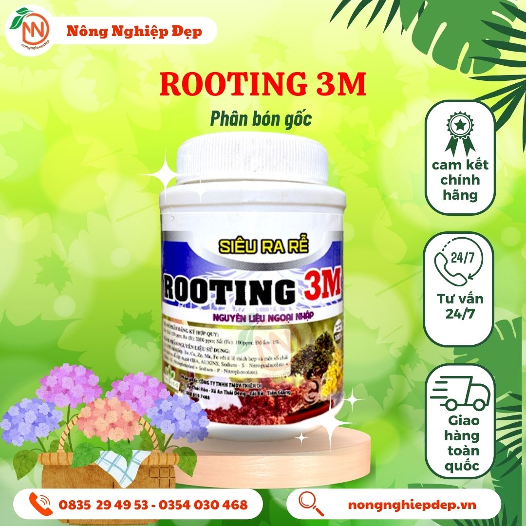 Rooting 3m