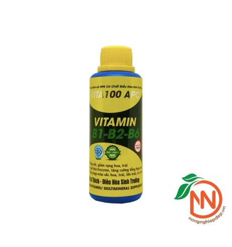 Vita 100 APC 100ml - Vitamin B1-B2-B6 - Điều Hòa Sinh Trưởng