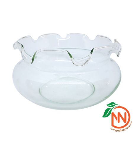 Chậu Thủy Tinh Bèo - Nhiều Size Kích Thước