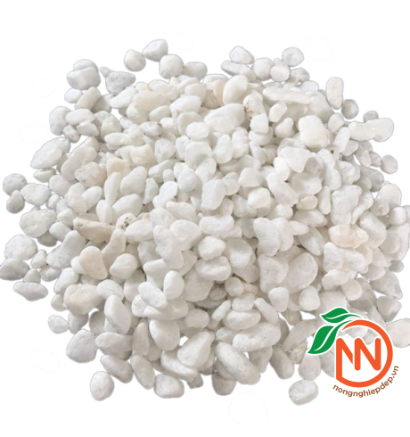 Sỏi Trắng Trang Trí - Nhiều Size Kích Thước