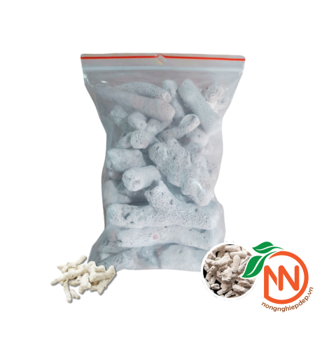 San Hô Lọc Nước Hồ Cá - San Hô Vụn - Cân Bằng pH Trong Nước