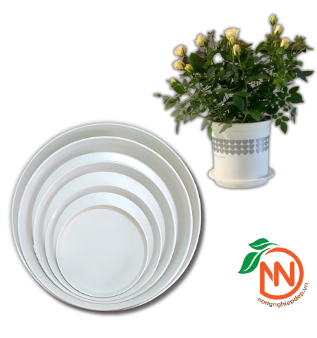 Đĩa Nhựa Tròn Lót Chậu Cây - Đế Nhựa Lót Chậu 