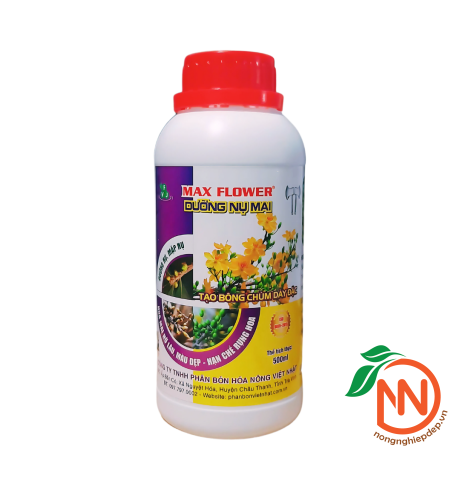 MAX FLOWER - DƯỠNG NỤ MAI