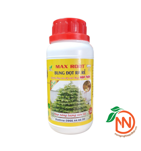 MAX ROOT - Bung Đọt Ra Rễ - Phân Chuyên Dùng Cho Mai Vàng