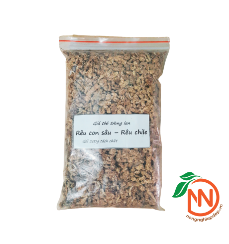 Rêu Con Sâu - Rêu Chile - Giá Thể Trồng Cây