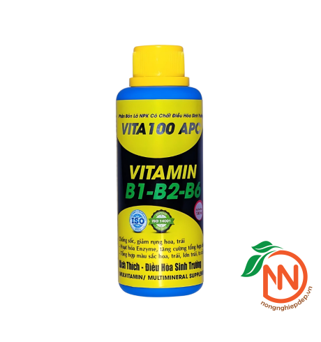 Vita 100 APC 100ml - Vitamin B1-B2-B6 - Điều Hòa Sinh Trưởng