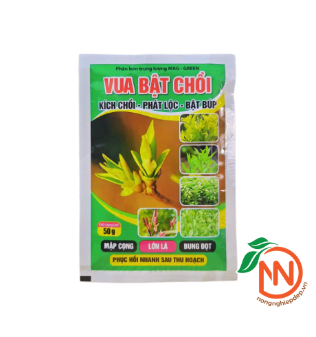 Vua Bật Chồi | Mập Cọng - Lớn Lá - Bung Đọt