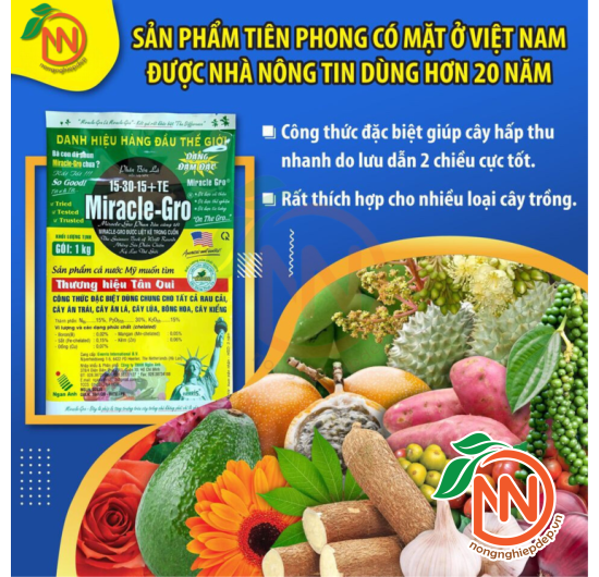 NPK 15-30-15 Miracle-Gro Ngân Anh