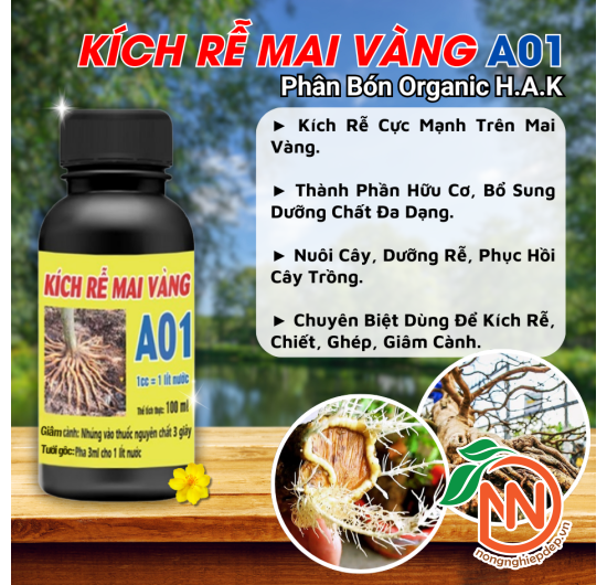 Phân Bón Kích Rễ Mai Vàng A01