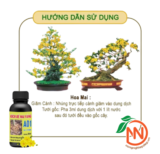 Phân Bón Kích Rễ Mai Vàng A01