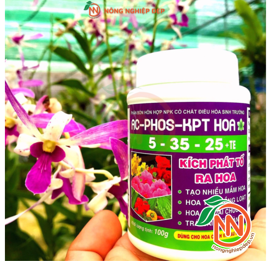 Phân Bón NPK AC - PHOS - KPT HOA 5-35-25 + TE | Kích Phát Tố Ra Hoa
