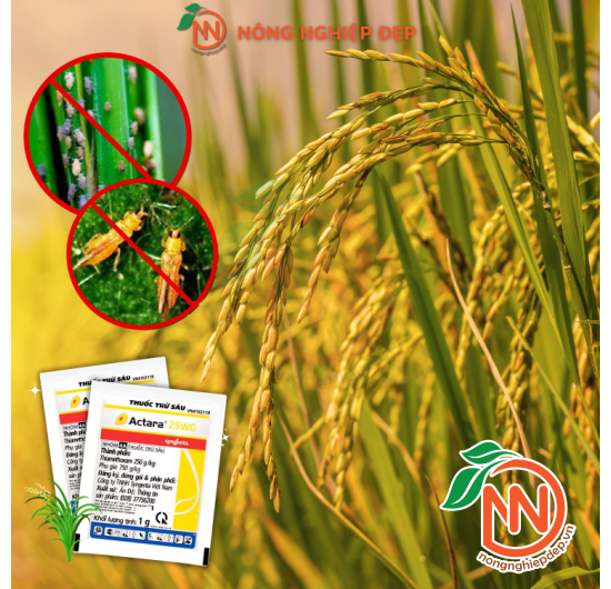 Thuốc Trừ Sâu Actara 25WG - Sự Bảo Vệ Khôn Ngoan