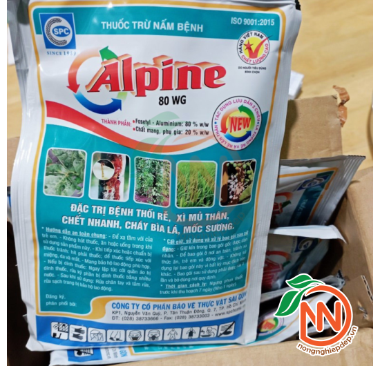 Alpine 80WG