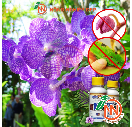 Amino Alexin - Phân Bón Đa Lượng 