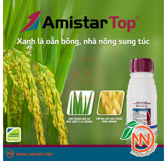 Amistar Top 325sc - Thuốc Trừ Bệnh Cây