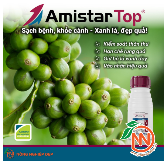 Amistar Top 325sc - Thuốc Trừ Bệnh Cây