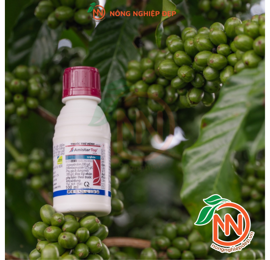 Amistar Top 325sc - Thuốc Trừ Bệnh Cây