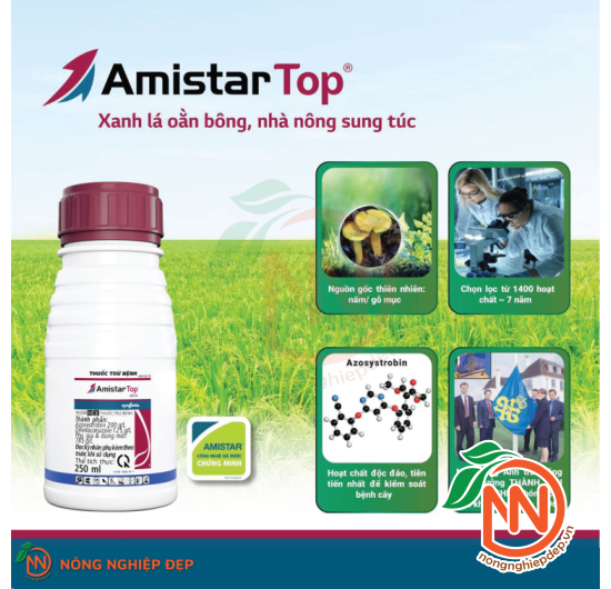 Amistar Top 325sc - Thuốc Trừ Bệnh Cây