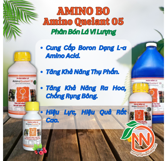 Amino Bo | AminoQuelant - 05 | Phân Bón Chống Rụng Nụ, Rụng Trái