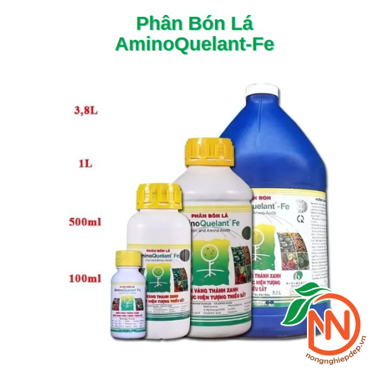 Phân Bón AminoQuelant-Fe (Sắt) | Trị Bệnh Vàng Lá
