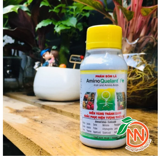Phân Bón AminoQuelant-Fe (Sắt) | Trị Bệnh Vàng Lá