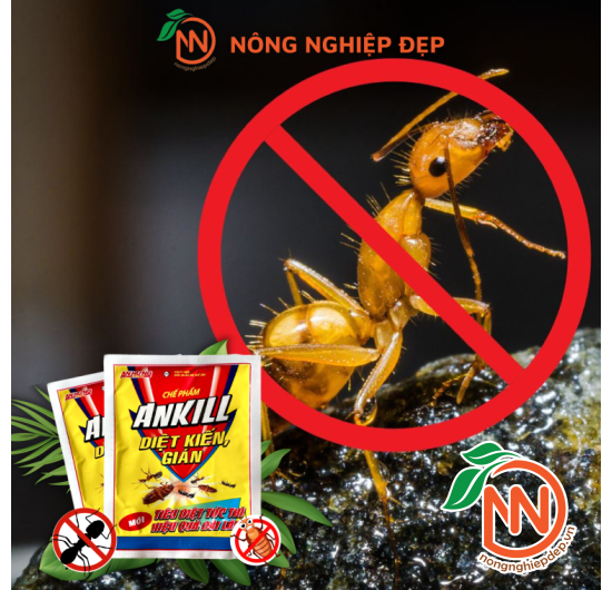 Thuốc Diệt Kiến ANKILL - Gói 20g