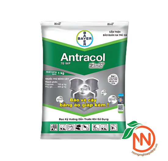 Thuốc Trừ Nấm Bệnh Antracol 75WP - Áo Giáp Kẽm Cho Cây