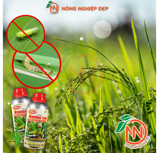 Thuốc Trừ Sâu Cao Cấp Arrivo 25EC - Thay Thế Wamtox 250EC | Diệt Sâu Rầy Nhanh Như Chớp 
