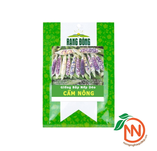 Hạt Giống Bắp Nếp Dẻo Rạng Đông - Cẩm Nông
