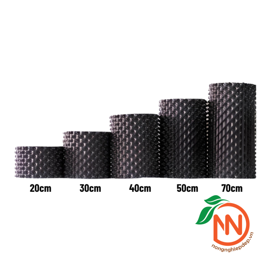 Bầu Ươm V6 - Bầu Uơm Cây Thông Minh