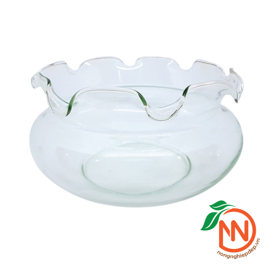 Chậu Thủy Tinh Bèo - Nhiều Size Kích Thước