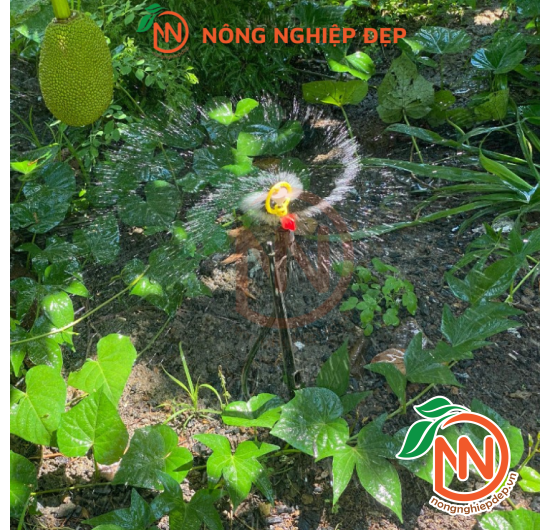 Béc Nhựa Phun Mưa 360° Ren Trong/ Ren Ngoài - Đủ Loại