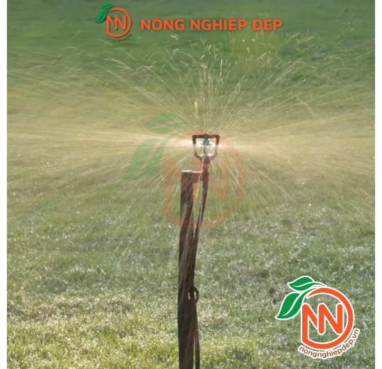 Béc Nhựa Rivulis Rondo Ren Ngoài Ống 5mm