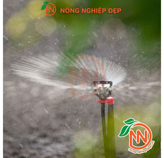 Béc Nhựa Rivulis Rondo Ren Ngoài Ống 5mm