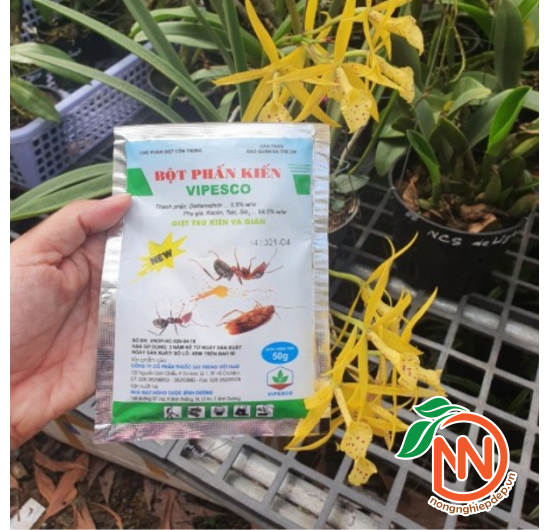 Bột Phấn Kiến VIPESCO - Gói 50g