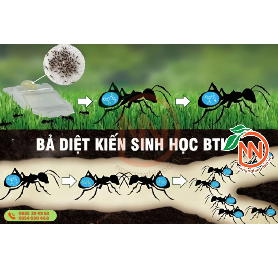 Bả Trừ Kiến Tận Tổ BTK