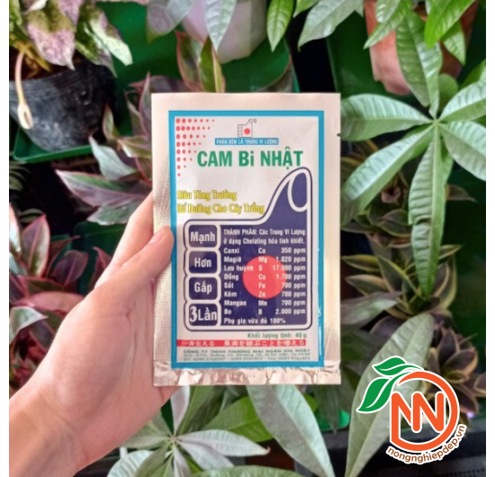 CAM BI NHẬT -  Phân Bón Lá Trung Vi Lượng