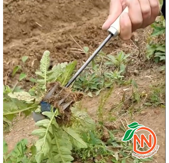 Cào Làm Vườn 2in1 - Cào Đất, Nhổ Cỏ
