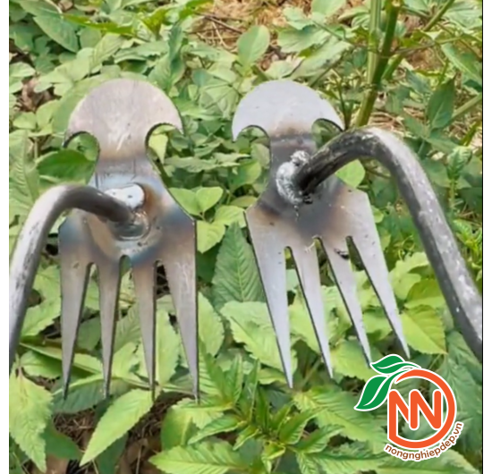 Cào Làm Vườn 2in1 - Cào Đất, Nhổ Cỏ