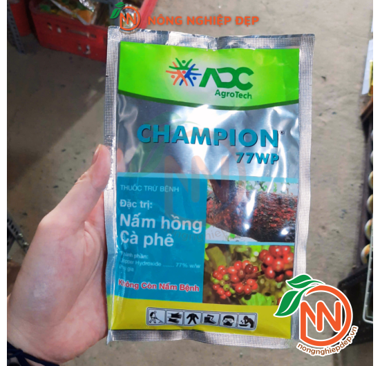 Champion 77WP - Thuốc Trừ Bệnh Nấm Hồng Và Thán Thư