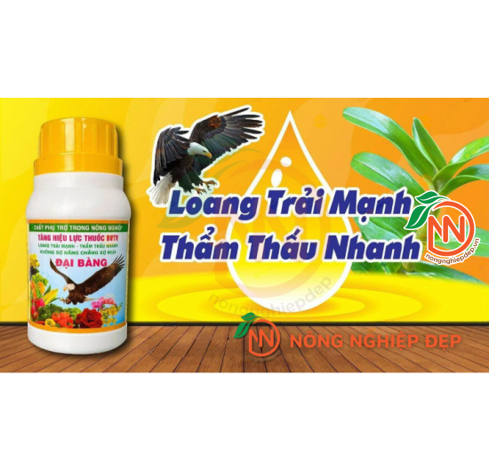 Chất Lưu Dẫn Đại Bàng - X2 Hiệu Quả Thuốc