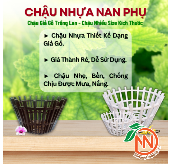 Chậu Nhựa Trồng Lan - Chậu Nhựa Nan Giả Gỗ