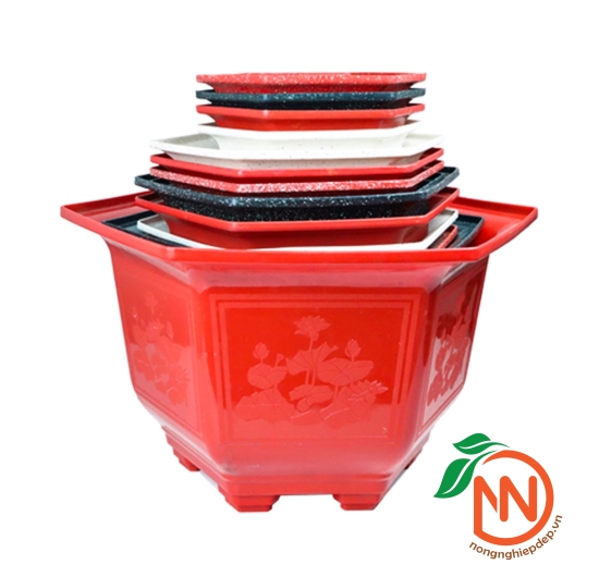 Chậu Nhựa Lục Giác Trồng Cây | FP5-1