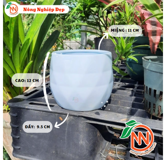 Chậu Sứ Trụ Trám Trồng Cây - Chậu Gốm Sứ Mini Trồng Cây Để Bàn
