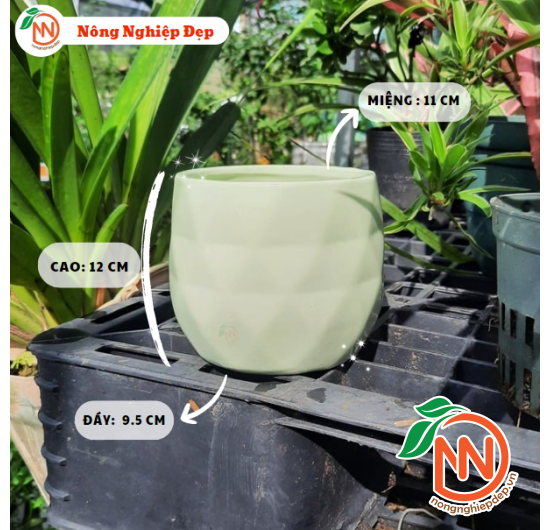 Chậu Sứ Trụ Trám Trồng Cây - Chậu Gốm Sứ Mini Trồng Cây Để Bàn