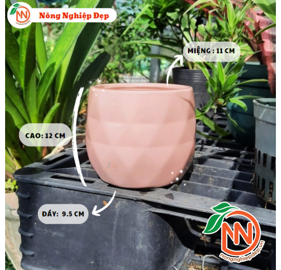 Chậu Sứ Trụ Trám Trồng Cây - Chậu Gốm Sứ Mini Trồng Cây Để Bàn