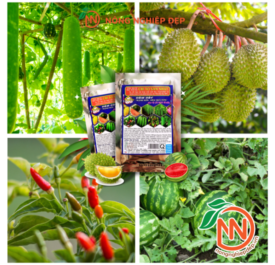 Phân Bón Chi To San Nhật - 50ml