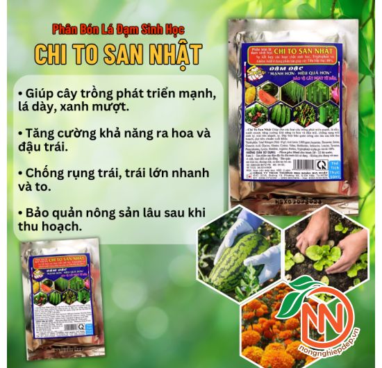 Phân Bón Chi To San Nhật - 50ml