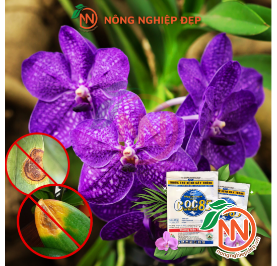 COC 85WP – Thuốc Trừ Nấm, Vi Khuẩn