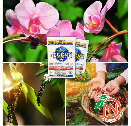 COC 85WP – Thuốc Trừ Nấm, Vi Khuẩn